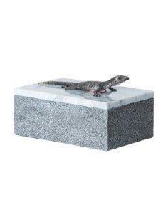 Caja lagarto 2