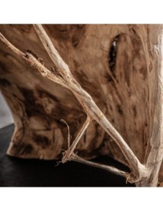 Escultura pie 2