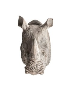 Busto rinoceronte 2
