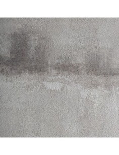 Lienzo cleon 2