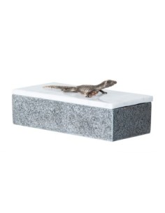 Caja lagarto 2