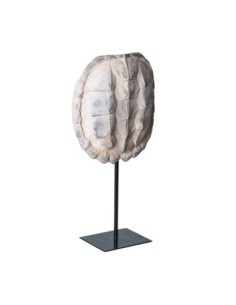 Figura decorativa caparazón tortuga 2