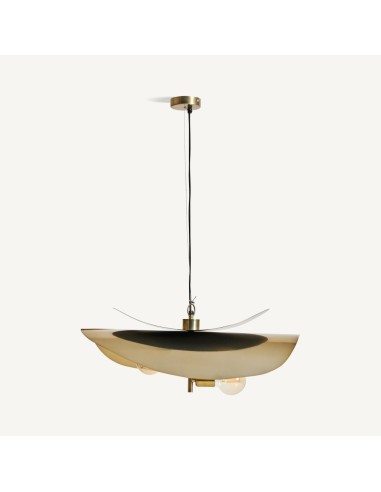 Lámpara de Colgar en Hierro Negro y Dorado –...