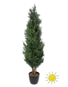 Árbol Ciprés Exterior 180 cm con Tronco Natural de Sinder