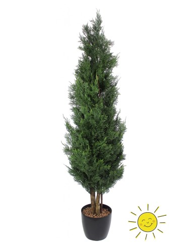 Árbol Ciprés Exterior 180 cm con Tronco Natural...
