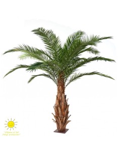 Árbol Palmera Majesty Exterior 350 cm – Palma Decorativa...