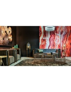 Lámina astanxatina 2