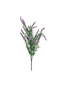 Flor lavanda 2