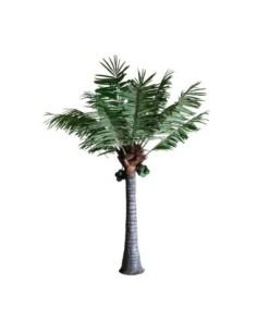 Planta palmera