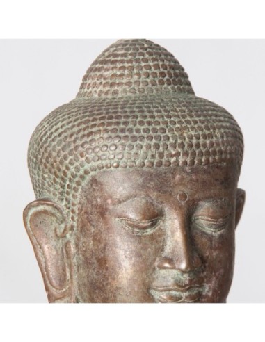 Busto budha