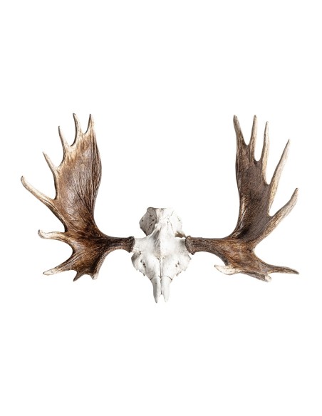 Busto cuerno ciervo