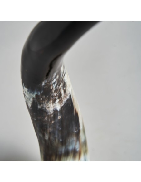 Figura decorativa zonza