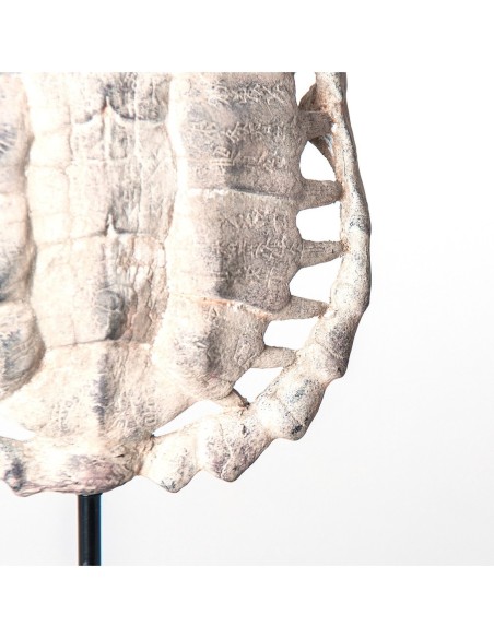 Escultura caparazón tortuga