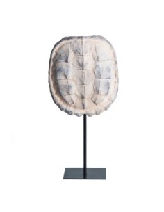Figura decorativa caparazón tortuga