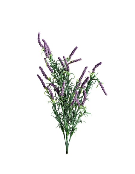 Flor lavanda