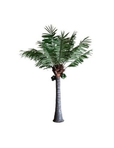 Planta palmera
