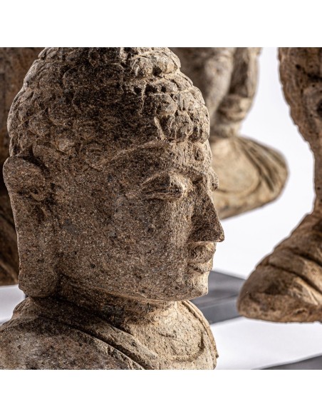 Busto surt thailandés