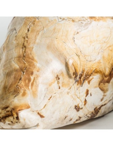 Figura decorativa surt pez