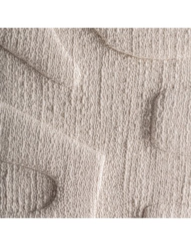 Cuadro Sobek Contemporáneo en Algodón Blanco...