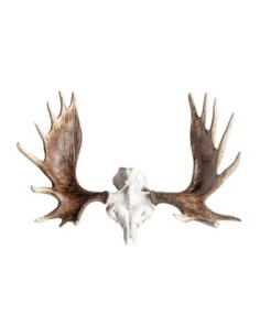 Busto cuerno ciervo