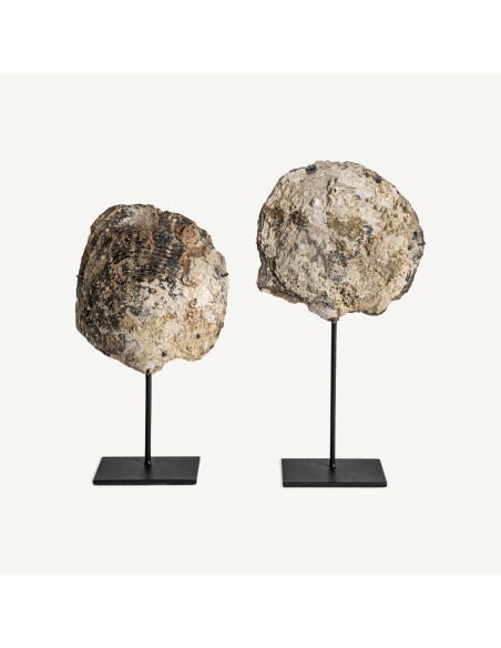 Figura Decorativa Nórdica Vical Home en Concha y Hierro Negro