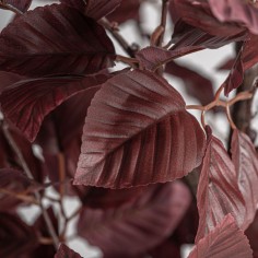 Planta Haya Clásico Vical Home en Poliéster, Polietileno... 2