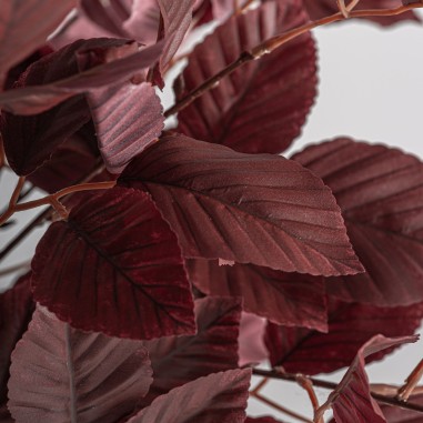 Planta Haya Clásico Vical Home en Poliéster,...