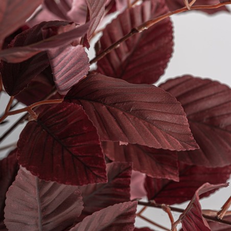 Planta Haya Clásico Vical Home en Poliéster, Polietileno y Cemento 148 cm