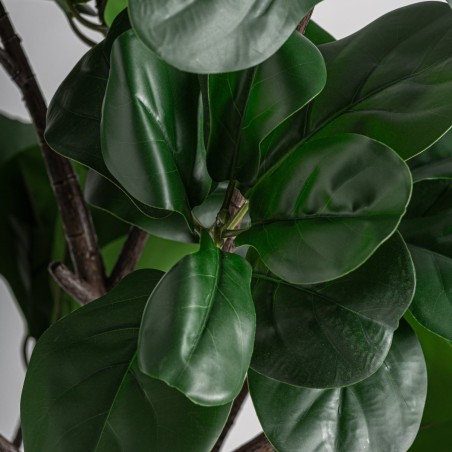 Planta Ficus Clásico Vical Home en PEVA, Polietileno y Cemento 187 cm