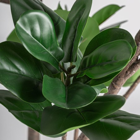 Planta Ficus Clásico Vical Home en PEVA, Polietileno y Cemento 187 cm