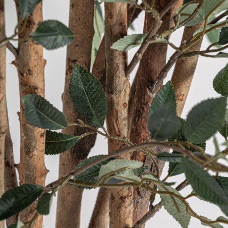 Planta Ficus Contemporáneo Vical Home en Poliéster, Polietileno y Madera 210 cm