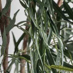 Planta Sauce Clásico Vical Home en Poliéster, Polietileno... 2