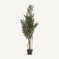 Planta Boj Clásico Vical Home en Polietileno 165 cm