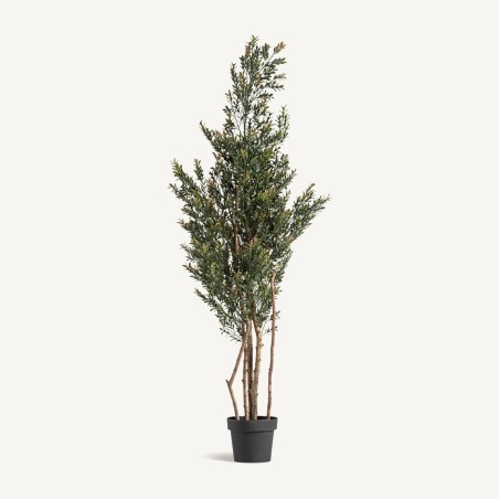 Planta Boj Clásico Vical Home en Polietileno 165 cm