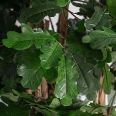 Planta Roble Clásico Vical Home en Poliéster, Polietileno... 2