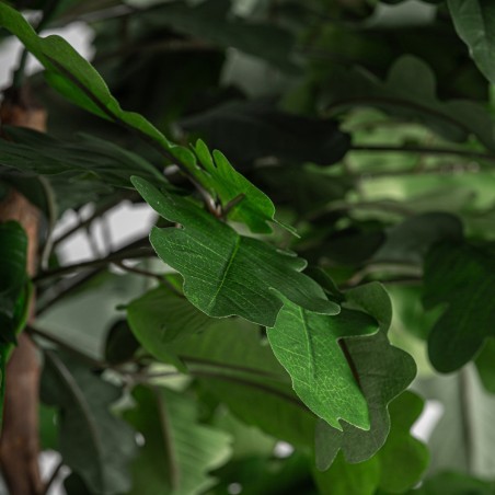 Planta Roble Clásico Vical Home en Poliéster, Polietileno y Madera 210 cm