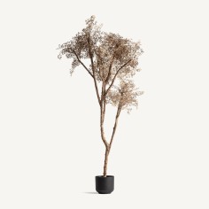 Planta Olivo Clásico Vical Home en Polietileno,...