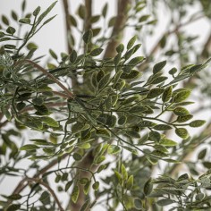 Planta Olivo Clásico Desmontable Vical Home en... 2