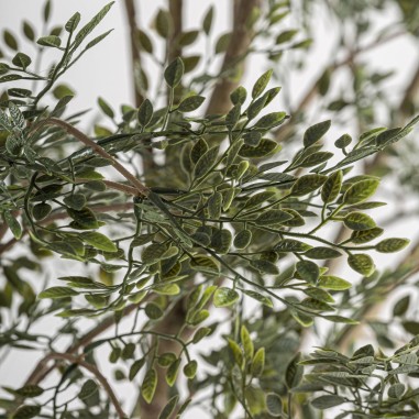 Planta Olivo Clásico Desmontable Vical Home en...