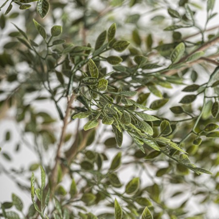 Planta Olivo Clásico Desmontable Vical Home en Polietileno, Polipropileno y Cemento 200 cm