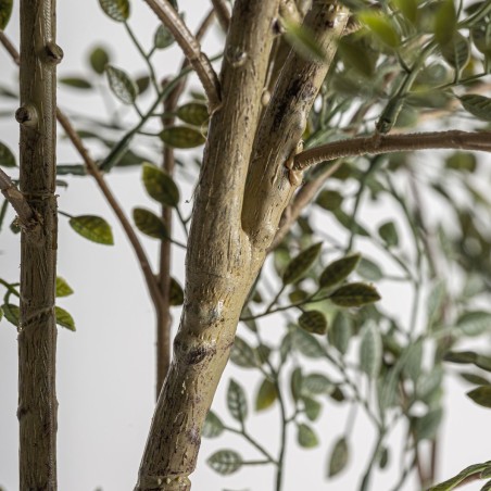 Planta Olivo Clásico Desmontable Vical Home en Polietileno, Polipropileno y Cemento 200 cm