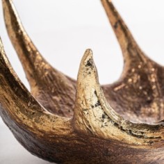 Centro de mesa cuerno 2