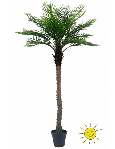 ÁRBOL ARTIFICIAL PALMERA PHOENIX 213CM EXTERIOR