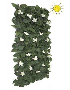 CELOSIA EXTENSIBLE FLOR 100X150CM 8X8CM