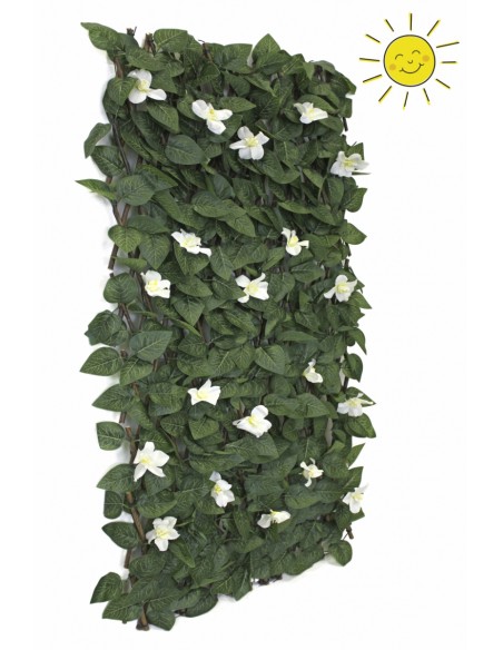CELOSIA EXTENSIBLE FLOR 100X150CM 8X8CM