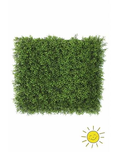 JARDIN VERTICAL GRASS 50X50CM