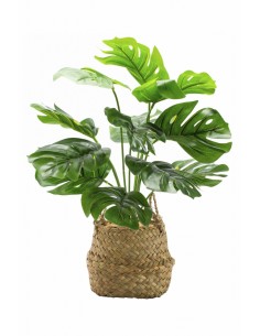 MONTSERA ARTIFICIAL EN CESTO NATURAL 46CM