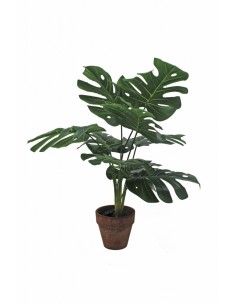 PLANTA ARTIFICIAL MONTSERA 50CM