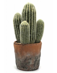 CACTUS 31CM EN MACETA DE TERRACOTA