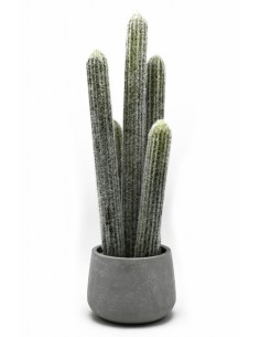 CACTUS 56CM EN MACETA DE CEMENTO